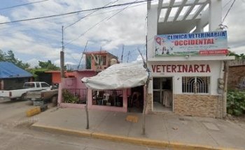 Veterinaria Occidental
