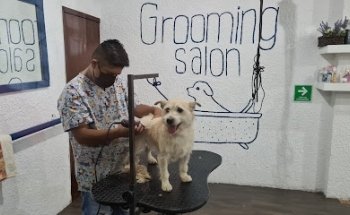 YalPet Veterinario SÓLO A DOMICILIO