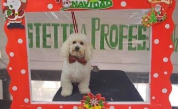 Pet Spa Animalia