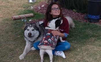 Petcare Veterinaria