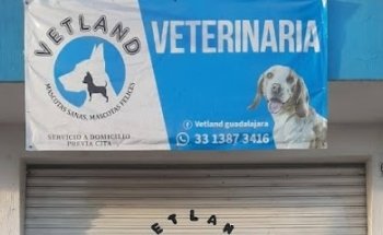 Vetland