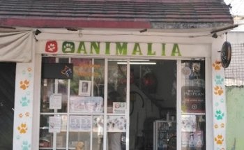 ANIMALIA