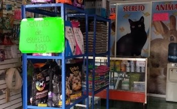 Veterinaria secreto Animal
