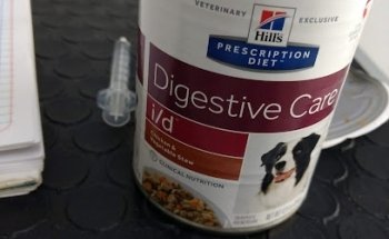 Clinica Veterinaria