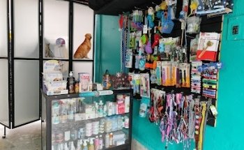 Servicios Veterinarios My Vet