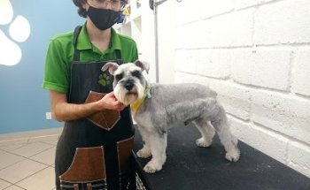 Veterinaria AZUMI PETS