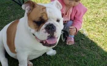 Clinica Veterinaria Piedras Negras