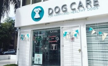 DOG CARE