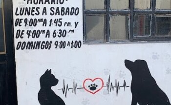 Veterinaria La Huastequita