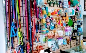 Pet Paradise Mx