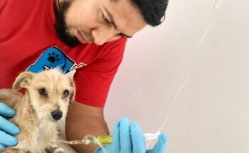 Pet Keepers Veterinaria