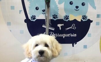 PETSURE