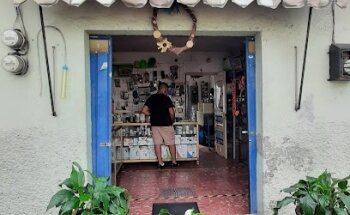 Veterinaria Rikky