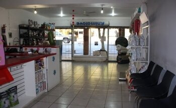 Veterinaria Animalove