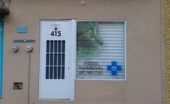 Perro Limpio