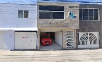 Animal Inc