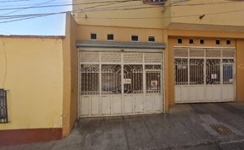 Veterinaria vetlife