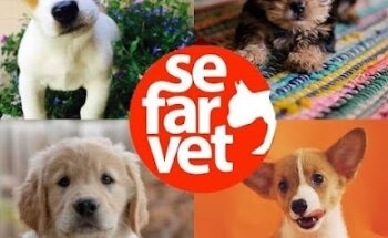 Sefarvet