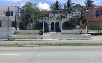 Vet & Pet Care