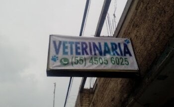 Clínica Veterinaria Yoliztli