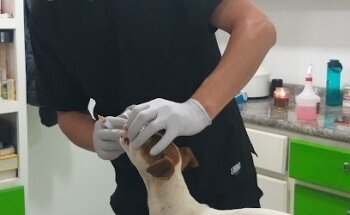 Veterinaria San Fernando