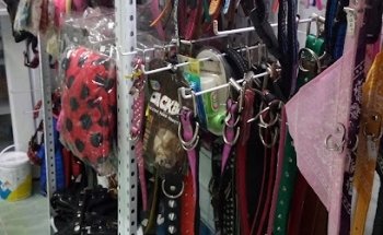 VETERINARIA, ACCESORIOS, ACUARIO