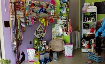 Pet's Paradise Club