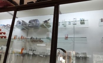 Veterinary Los Pinos