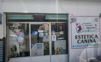 Consultorio Veterinario Animalandia