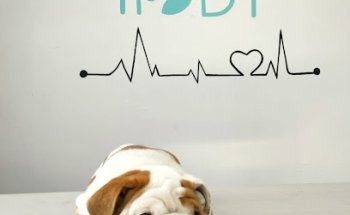 Veterinaria Kody