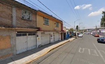 Estética Canina