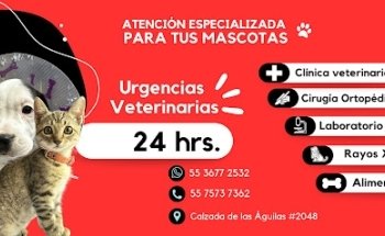 VIP - VET