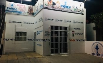 D´Knes Clínicas y Esteticas Veterinarias