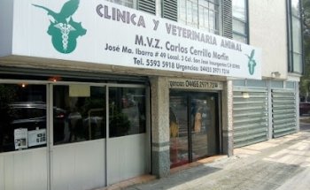 Clínica Veterinaria Animal