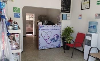 Vets Health
