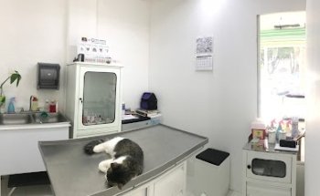 Clínica Veterinaria Peek Ni