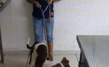 Tucanes Veterinaria