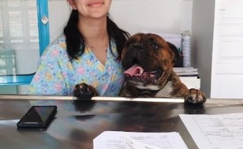 AIVT Atención integral veterinaria