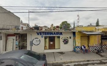 Veterinaria Santa Clara