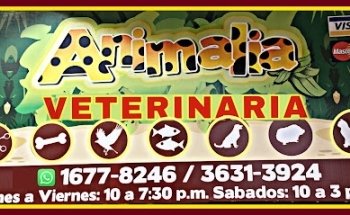 Animalia paseos del Sol