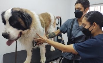 Kalimax Mascotas