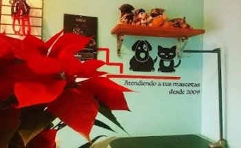 Centro Integral Veterinario