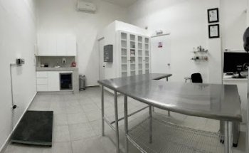 Dogtor Pets Clinica Veterinaria y Estetica Canina