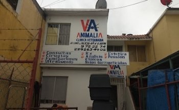 Animalia