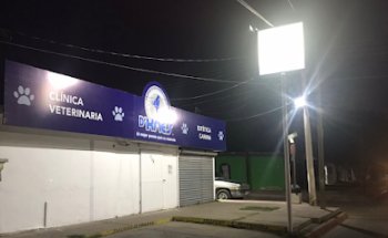 D'Knes