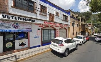 VETERINARIA