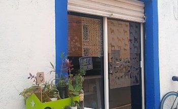 Veterinaria Amigo animal