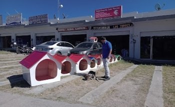 VETERINARIA LAS TORRES