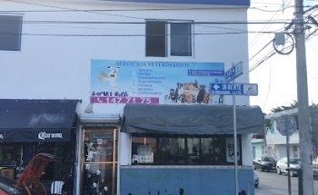 Veterinaria Rufo