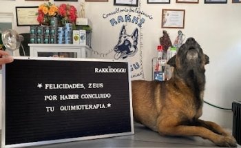 Rakkidoggu Consultorio Veterinario